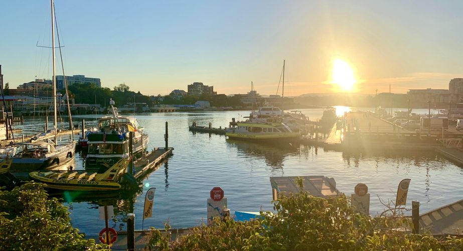 28 38 Canada 156 28 38 Canada 156